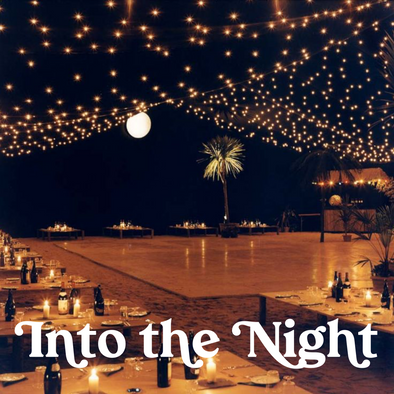 *NEW RELEASE* Into the Night Fragrance Oil