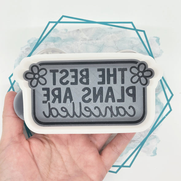 *NEW RELEASE* Best Plans are Cancelled Freshie Mold