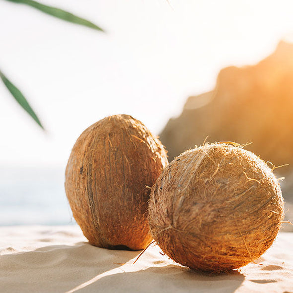 *NEW RELEASE* Copper Coconut Fragrance Oil