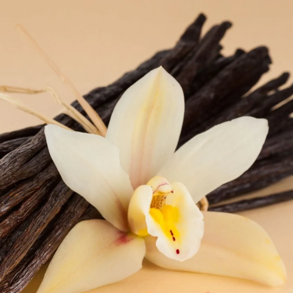 Sandalwood Vanilla (Type) Fragrance Oil